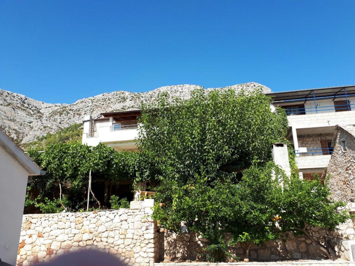 Apartments With A Parking Space Ivan Dolac, Hvar - 8753 Exteriér fotografie
